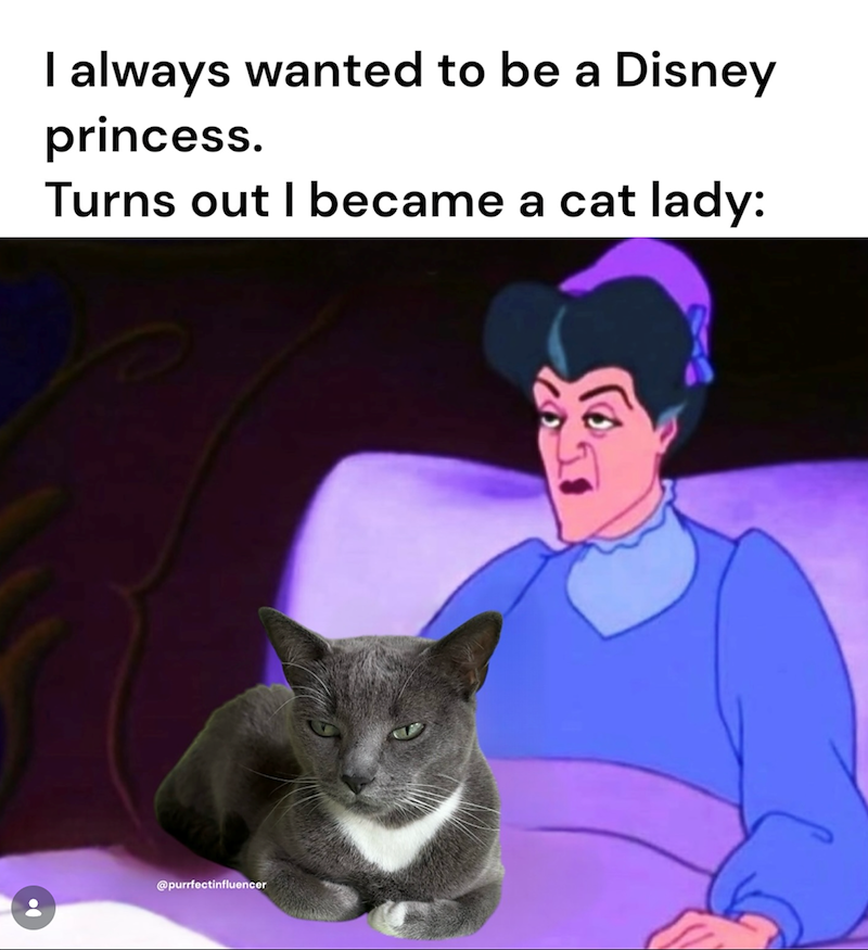 I always wanted to be a Disney princess. Turns out I became a cat lady: @purrfectinfluencer