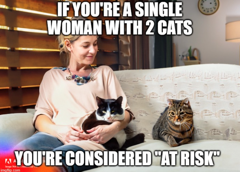 IF YOU'RE A SINGLE WOMAN WITH 2 CATS A YOU'RE CONSIDERED "AT RISK Image Not as imgflip.com