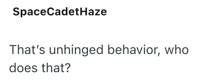 SpaceCadetHaze That's unhinged behavior, who does that?