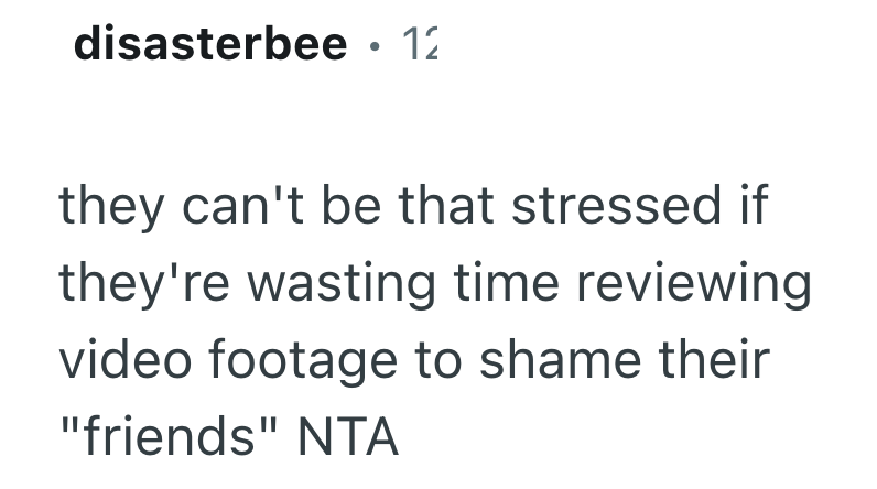 disasterbee · 12 they can't be that stressed if they're wasting time reviewing video footage to shame their "friends" NTA