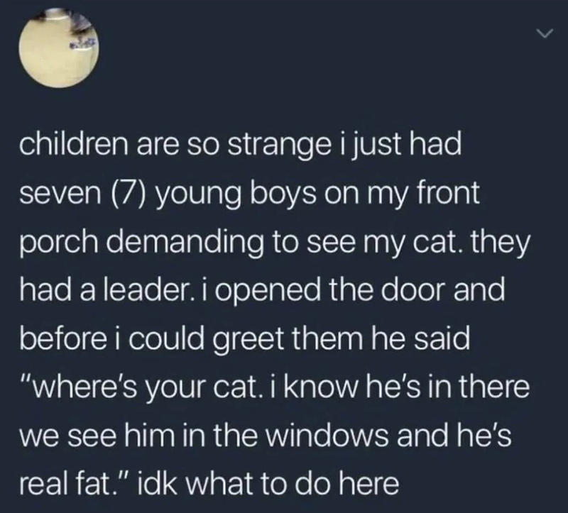 children are so strange i just had seven (7) young boys on my front porch demanding to see my cat. they had a leader. i opened the door and before i could greet them he said "where's your cat. i know he's in there we see him in the windows and he's real fat." idk what to do here