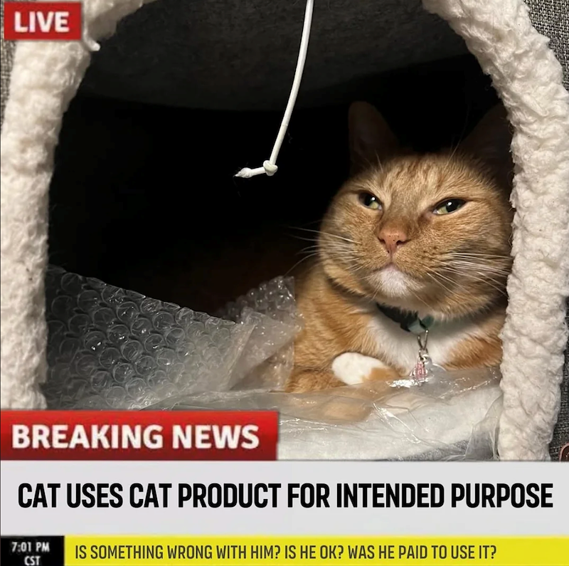 LIVE BREAKING NEWS CAT USES CAT PRODUCT FOR INTENDED PURPOSE 7:01 PM CST IS SOMETHING WRONG WITH HIM? IS HE OK? WAS HE PAID TO USE IT?
