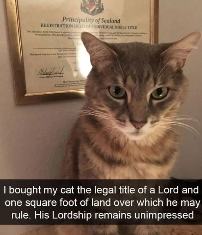 The Indvall Principality of Sealand REGISTRATION DEED OF INDIVIDUAL NOBLE TITLE The Awant I bought my cat the legal title of a Lord and one square foot of land over which he may rule. His Lordship remains unimpressed