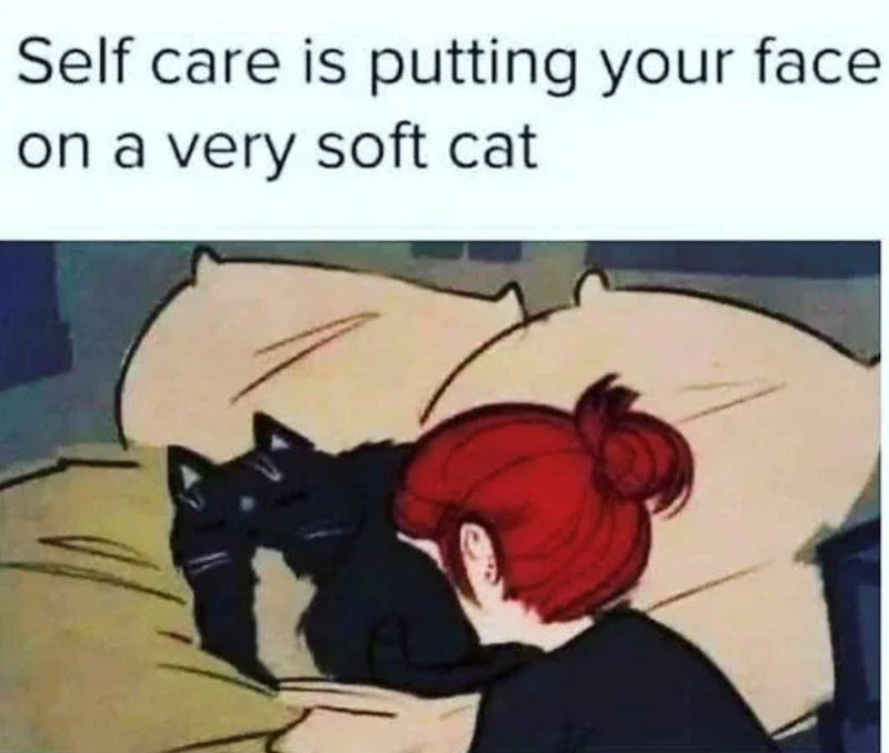 Self care is putting your face on a very soft cat