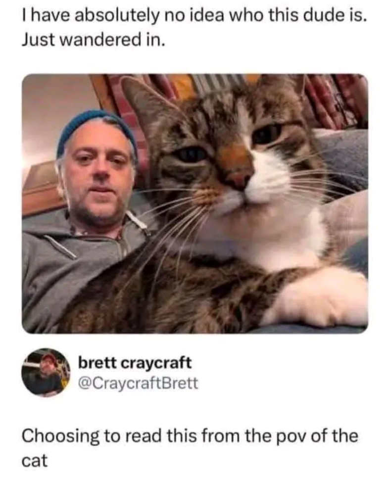 I have absolutely no idea who this dude is. Just wandered in. brett craycraft @CraycraftBrett Choosing to read this from the pov of the cat