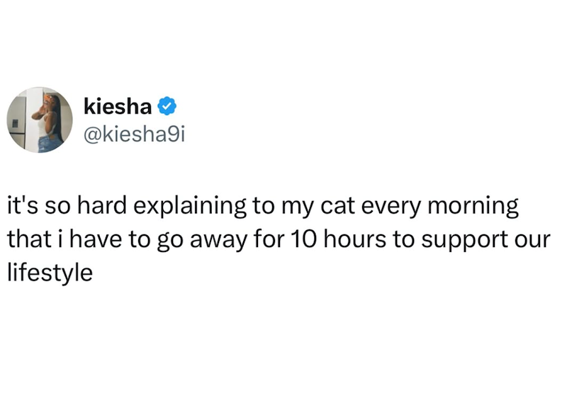 kiesha @kiesha9i it's so hard explaining to my cat every morning that i have to go away for 10 hours to support our lifestyle
