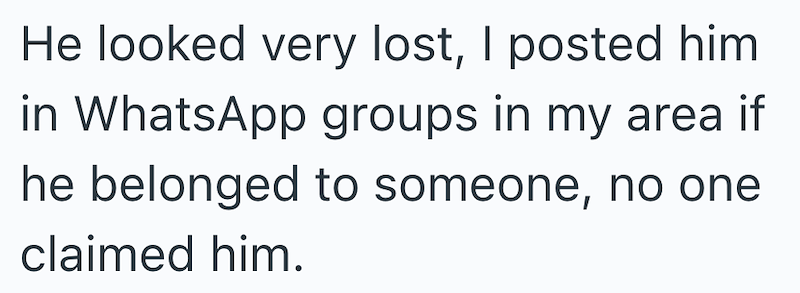 He looked very lost, I posted him in WhatsApp groups in my area if he belonged to someone, no one claimed him.