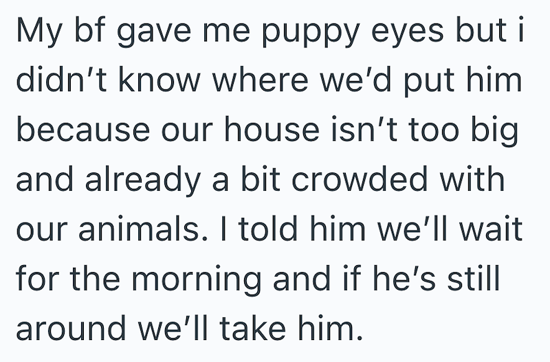 My bf gave me puppy eyes but i didn't know where we'd put him because our house isn't too big and already a bit crowded with our animals. I told him we'll wait for the morning and if he's still around we'll take him.