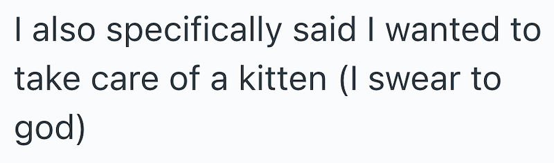 I also specifically said I wanted to take care of a kitten (I swear to god)