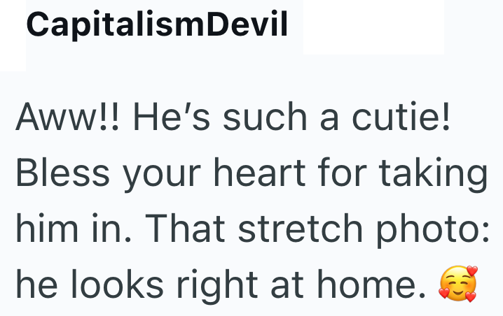 Capitalism Devil Aww!! He's such a cutie! Bless your heart for taking him in. That stretch photo: he looks right at home.