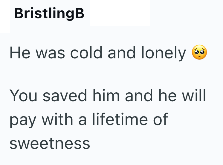 BristlingB He was cold and lonely You saved him and he will pay with a lifetime of sweetness