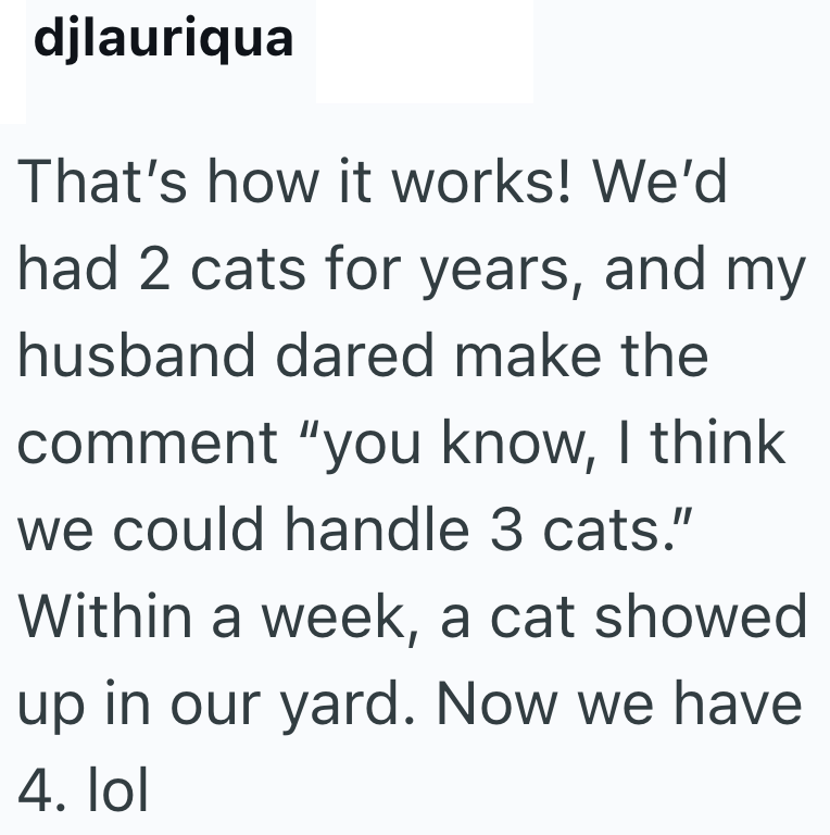 djlauriqua That's how it works! We'd had 2 cats for years, and my husband dared make the comment "you know, I think we could handle 3 cats." Within a week, a cat showed up in our yard. Now we have 4. lol