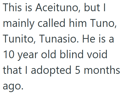 This is Aceituno, but I mainly called him Tuno, Tunito, Tunasio. He is a 10 year old blind void that I adopted 5 months ago.