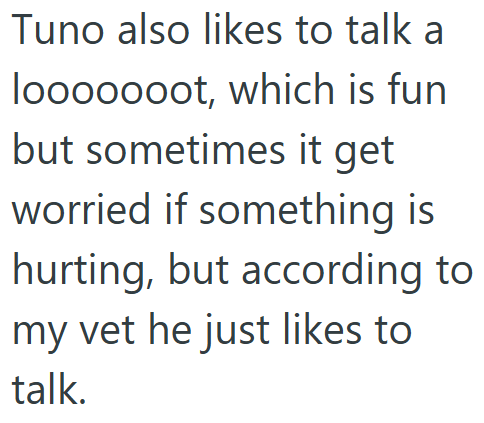 Tuno also likes to talk a looooooot, which is fun but sometimes it get worried if something is hurting, but according to my vet he just likes to talk.