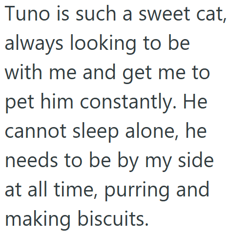 Tuno is such a sweet cat, always looking to be with me and get me to pet him constantly. He cannot sleep alone, he needs to be by my side at all time, purring and making biscuits.
