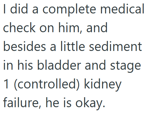 I did a complete medical check on him, and besides a little sediment in his bladder and stage 1 (controlled) kidney failure, he is okay.