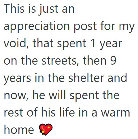 This is just an appreciation post for my void, that spent 1 year on the streets, then 9 years in the shelter and now, he will spent the rest of his life in a warm home