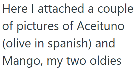 Here I attached a couple of pictures of Aceituno (olive in spanish) and Mango, my two oldies
