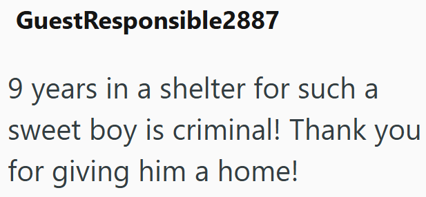 GuestResponsible2887 9 years in a shelter for such a sweet boy is criminal! Thank you for giving him a home!