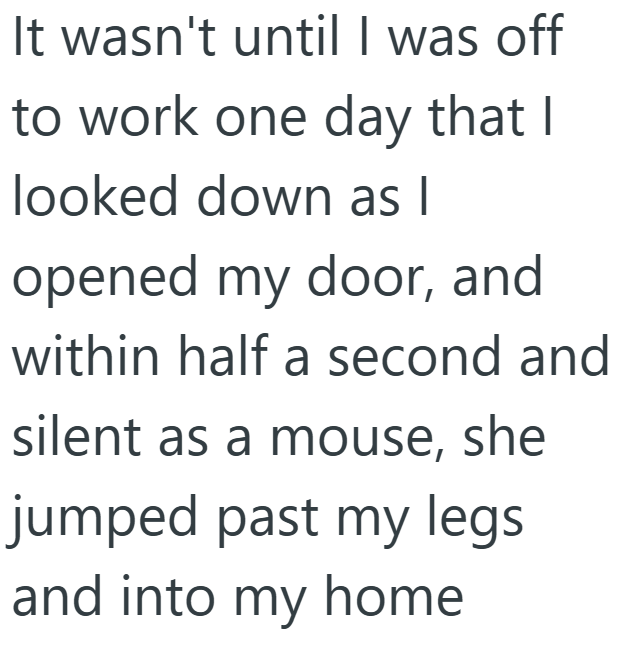 It wasn't until I was off to work one day that I looked down as I opened my door, and within half a second and silent as a mouse, she jumped past my legs. and into my home
