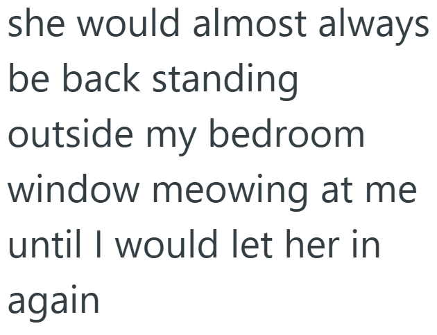 she would almost always be back standing outside my bedroom window meowing at me until I would let her in again