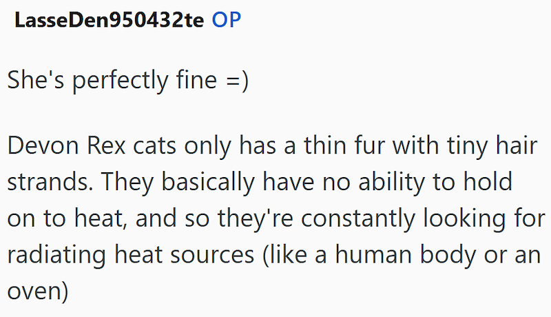 Lasse Den950432te OP She's perfectly fine =) Devon Rex cats only has a thin fur with tiny hair strands. They basically have no ability to hold on to heat, and so they're constantly looking for radiating heat sources (like a human body or an oven)