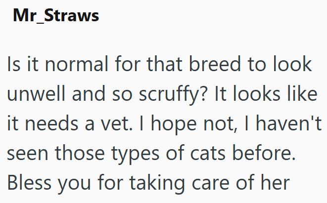 Mr_Straws Is it normal for that breed to look unwell and so scruffy? It looks like it needs a vet. I hope not, I haven't seen those types of cats before. Bless you for taking care of her