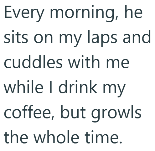 Every morning, he sits on my laps and cuddles with me while I drink my coffee, but growls the whole time.