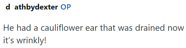d athbydexter OP He had a cauliflower ear that was drained now it's wrinkly!
