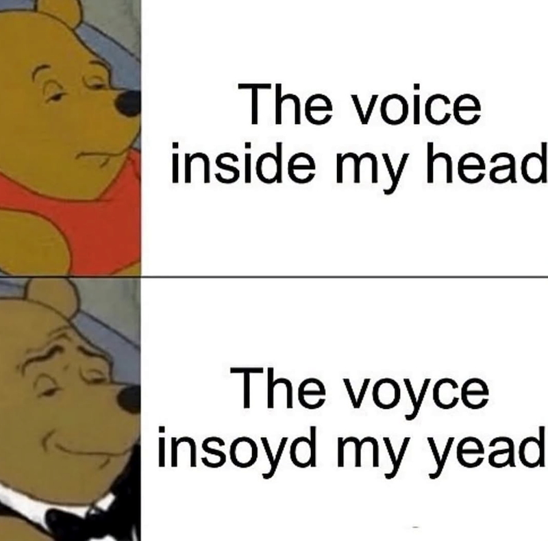 The voice inside my head The voyce insoyd my yead