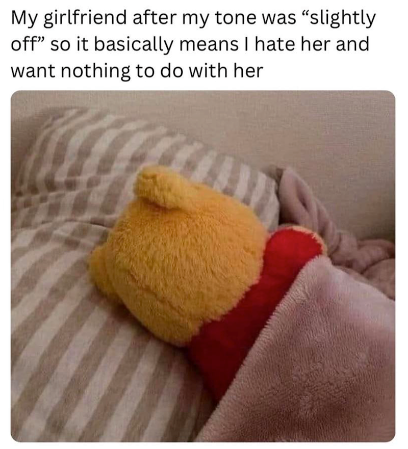 My girlfriend after my tone was "slightly off" so it basically means I hate her and want nothing to do with her
