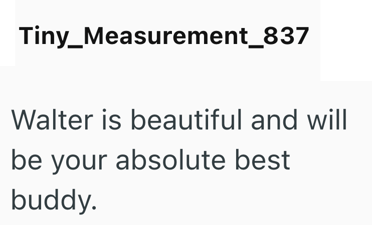 Tiny_Measurement_837 Walter is beautiful and will be your absolute best buddy.