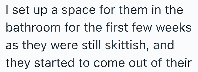I set up a space for them in the bathroom for the first few weeks as they were still skittish, and they started to come out of their