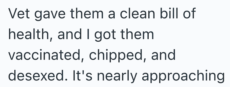 Vet gave them a clean bill of health, and I got them vaccinated, chipped, and desexed. It's nearly approaching