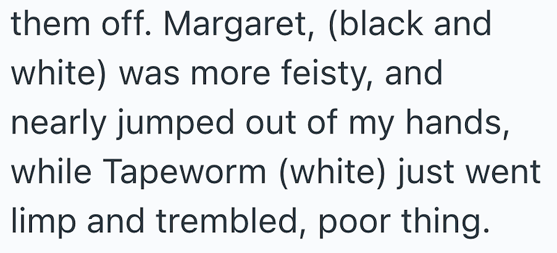 them off. Margaret, (black and white) was more feisty, and nearly jumped out of my hands, while Tapeworm (white) just went limp and trembled, poor thing.