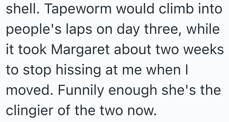 shell. Tapeworm would climb into people's laps on day three, while it took Margaret about two weeks to stop hissing at me when I moved. Funnily enough she's the clingier of the two now.