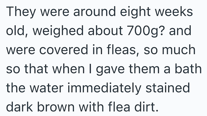 They were around eight weeks old, weighed about 700g? and were covered in fleas, so much so that when I gave them a bath the water immediately stained dark brown with flea dirt.