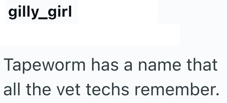gilly_girl Tapeworm has a name that all the vet techs remember.