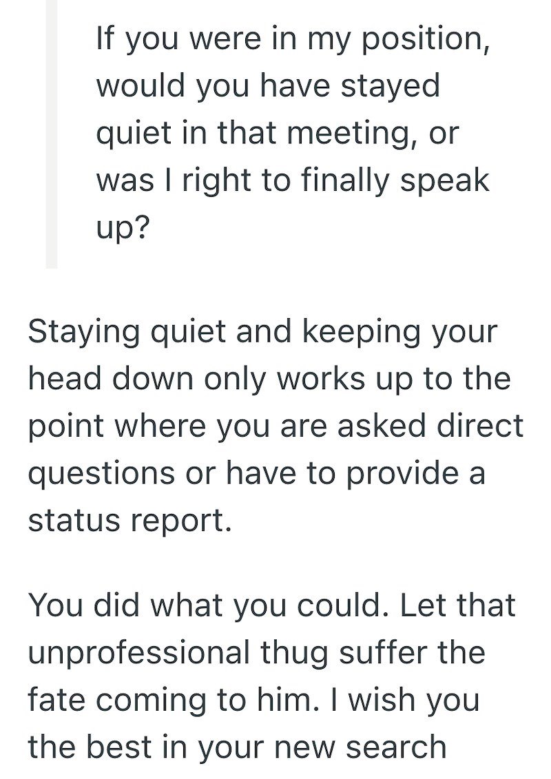If you were in my position, would you have stayed quiet in that meeting, or was I right to finally speak up? Staying quiet and keeping your head down only works up to the point where you are asked direct questions or have to provide a status report. You did what you could. Let that unprofessional thug suffer the fate coming to him. I wish you the best in your new search
