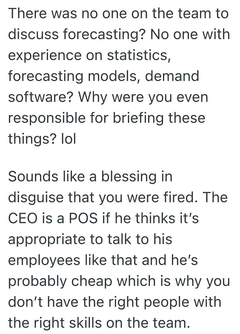 There was no one on the team to discuss forecasting? No one with experience on statistics, forecasting models, demand software? Why were you even responsible for briefing these things? lol Sounds like a blessing in disguise that you were fired. The CEO is a POS if he thinks it's appropriate to talk to his employees like that and he's probably cheap which is why you don't have the right people with the right skills on the team.