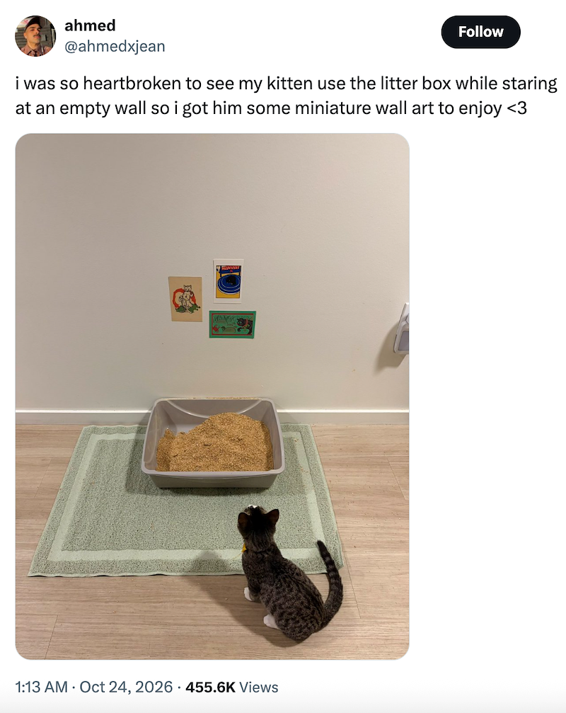 ahmed @ahmedxjean Follow i was so heartbroken to see my kitten use the litter box while staring at an empty wall so i got him some miniature wall art to enjoy <3 1:13 AM Oct 24, 2026 455.6K Views