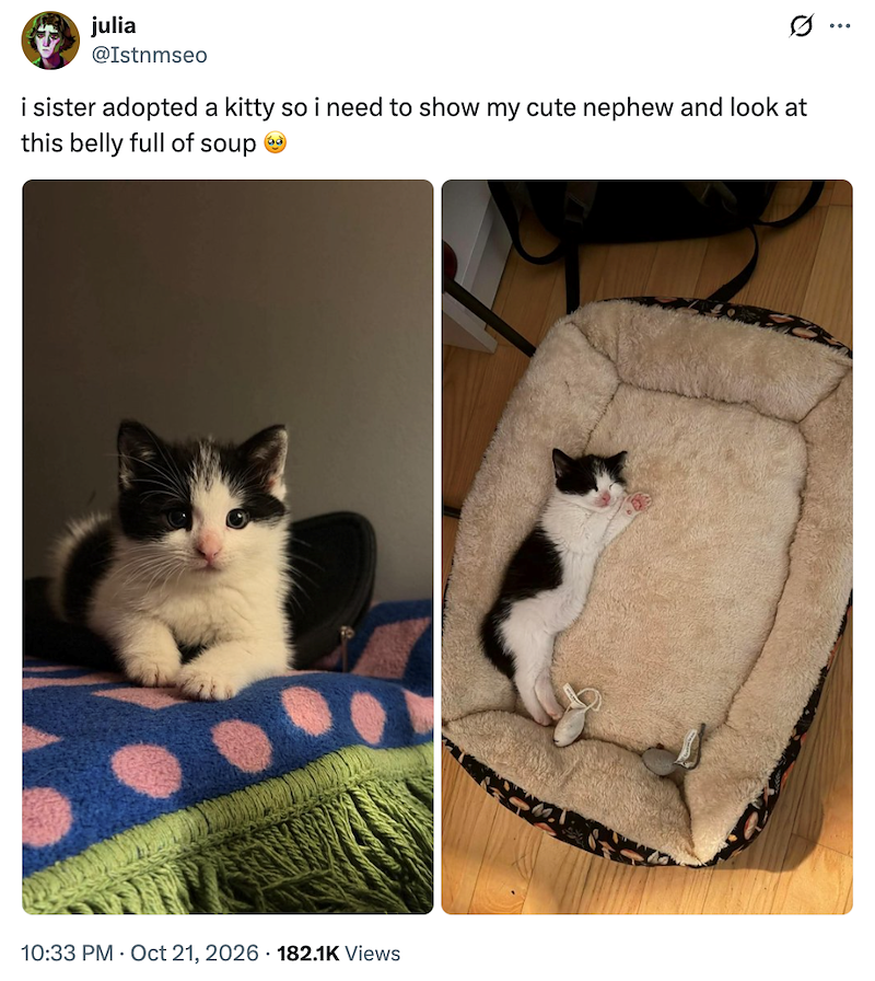 julia @Istnmseo 0 ... i sister adopted a kitty so i need to show my cute nephew and look at this belly full of soup ** 10:33 PM Oct 21, 2026 182.1K Views