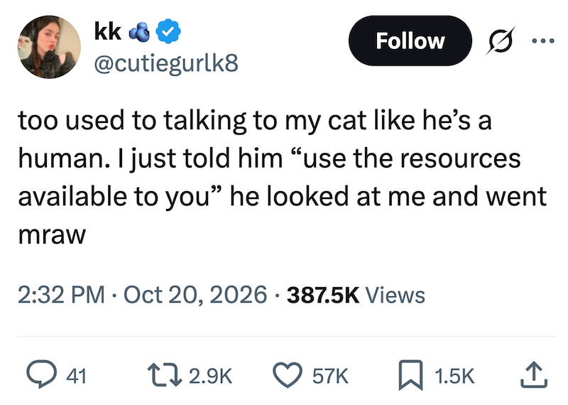 kk & Follow @cutiegurlk8 too used to talking to my cat like he's a human. I just told him "use the resources available to you" he looked at me and went mraw 2:32 PM Oct 20, 2026 387.5K Views 41 12.9K 57K ☐ 1.5K