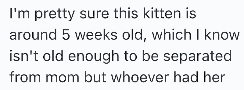I'm pretty sure this kitten is around 5 weeks old, which I know isn't old enough to be separated from mom but whoever had her