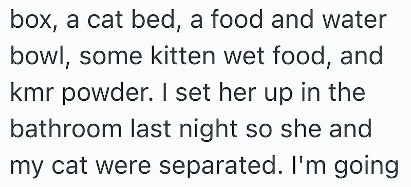 box, a cat bed, a food and water bowl, some kitten wet food, and kmr powder. I set her up in the bathroom last night so she and my cat were separated. I'm going