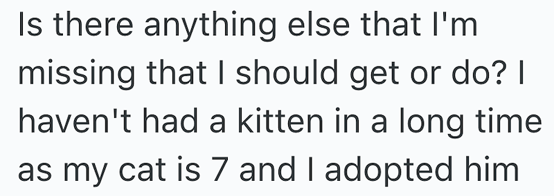Is there anything else that I'm missing that I should get or do? I haven't had a kitten in a long time as my cat is 7 and I adopted him