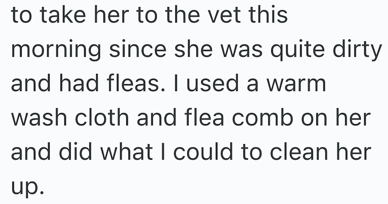 to take her to the vet this morning since she was quite dirty and had fleas. I used a warm wash cloth and flea comb on her and did what I could to clean her up.