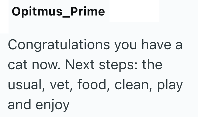 Opitmus_Prime Congratulations you have a cat now. Next steps: the usual, vet, food, clean, play and enjoy