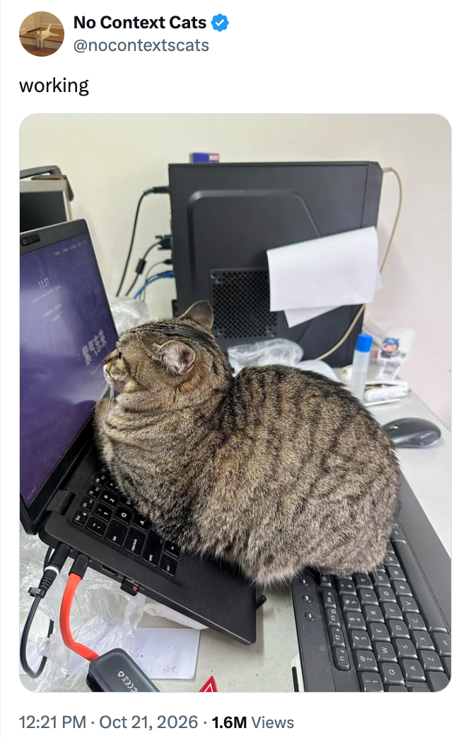 CEZO 11:37 紫气东来 12:21 PM - Oct 21, 2026 1.6M Views working No Context Cats @nocontextscats