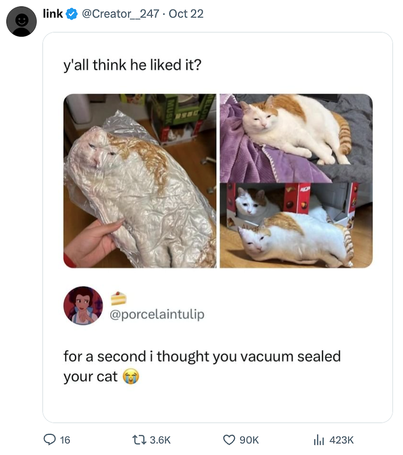 link @Creator_247 · Oct 22 y'all think he liked it? MUSK @porcelaintulip for a second i thought you vacuum sealed your cat 16 17 3.6K 90K ılı 423K